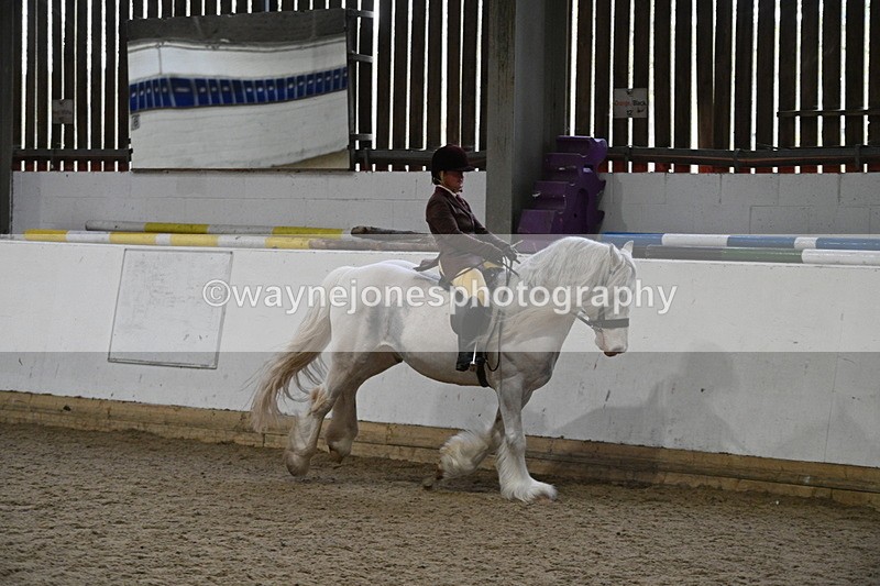 WJ7_4226 - Class 17 Ridden Cob