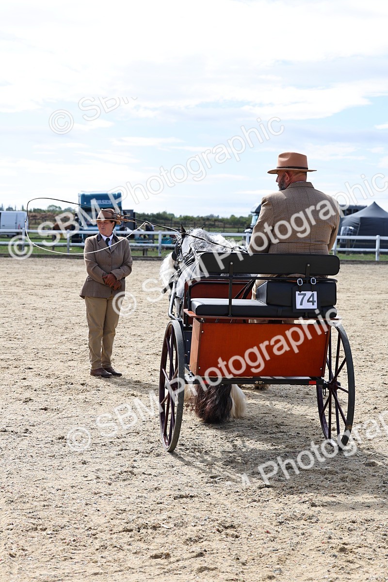 SBM_001209 - Class 16 - Pairs ,Multiples and Tandems