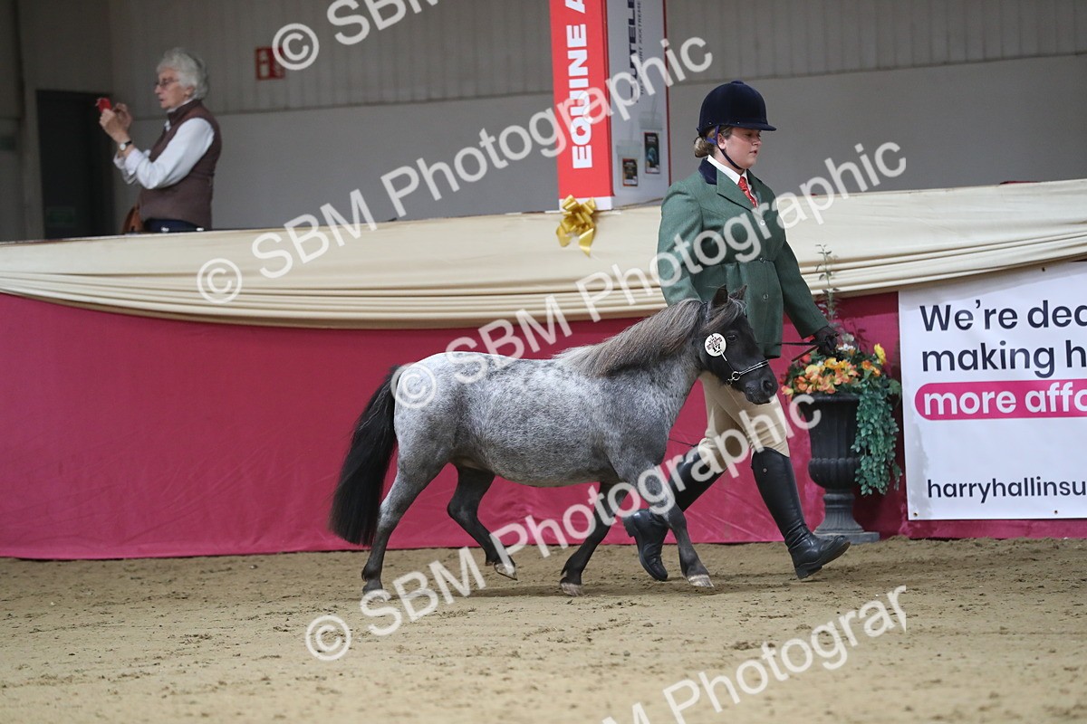 SBM_01297 - Class 3a Area IH Pre Vet