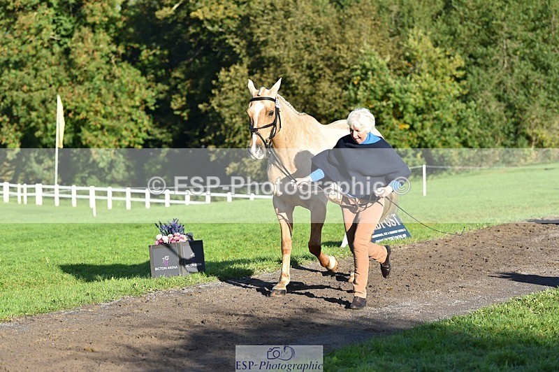 231022-100210-22197 - 612-CORRIEVIEW.MERLIN.MAGIC-Jane.Rogers-TrotUp+SJ