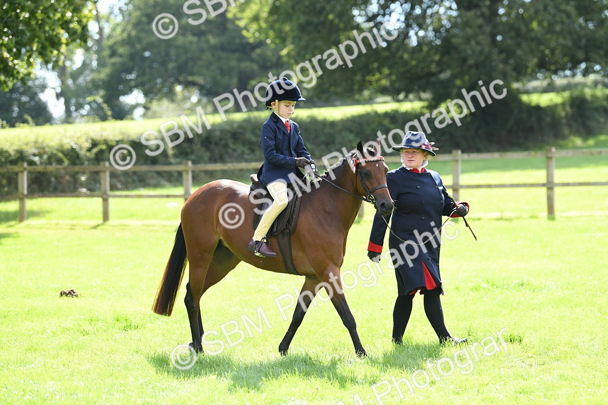 SBM_41129 - S19 - Lead Rein Show & Show Hunter Pony
