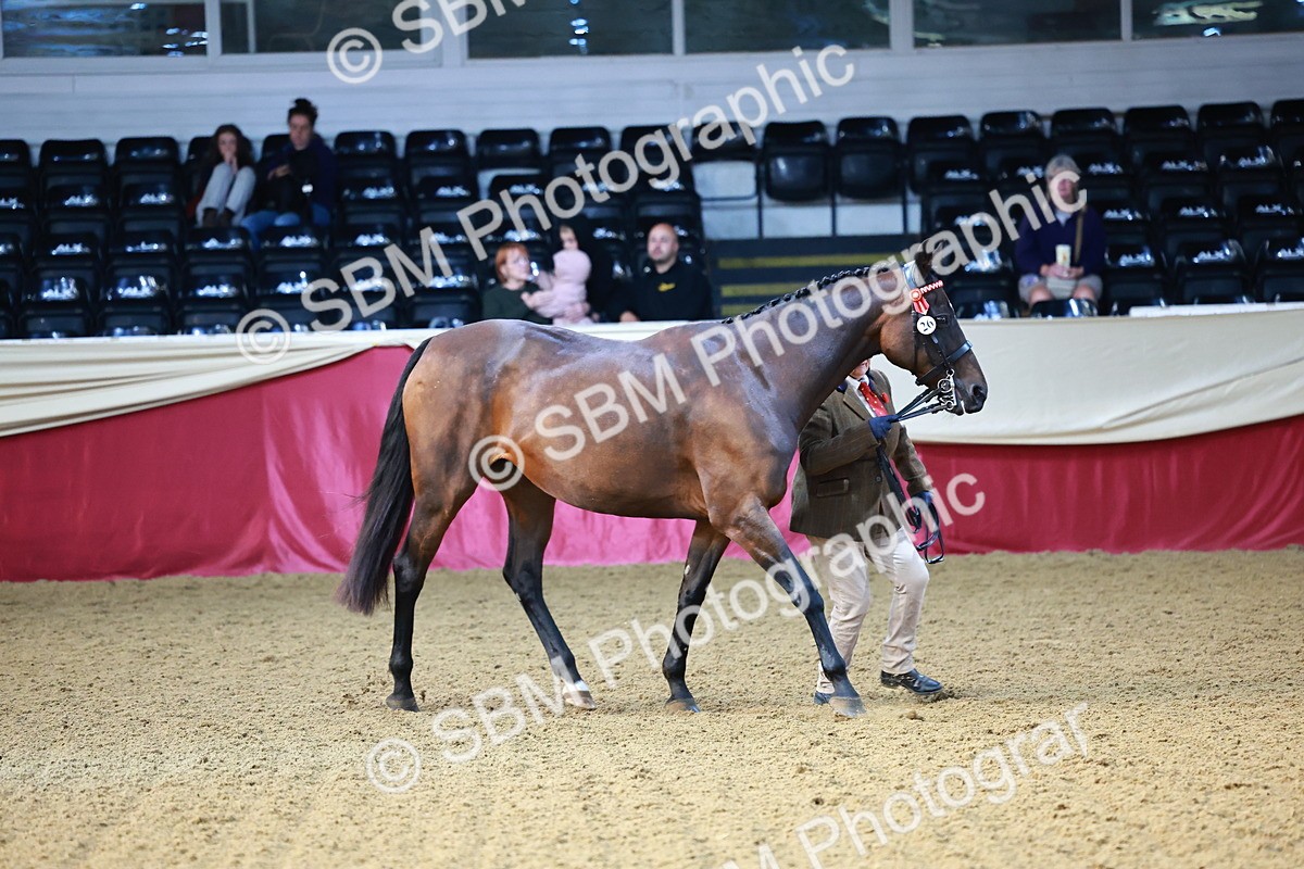 SBM_21774 - Class 901 - Supreme Final - IH  Diamond