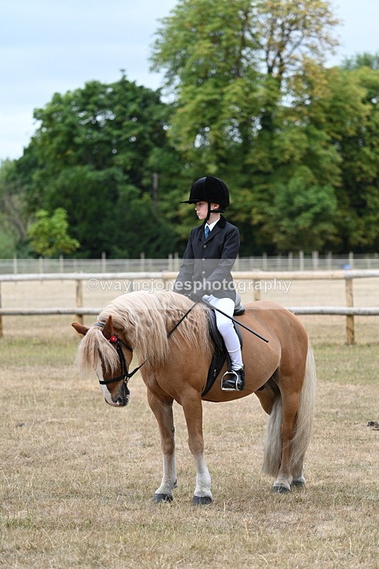 WJ7_7487 - Class 2 Best Rider