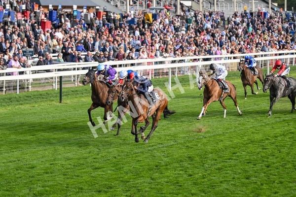 210825-Race 7-Royal Velvet-5639 - Race 7 5.20pm British EBF Fillies' Handicap