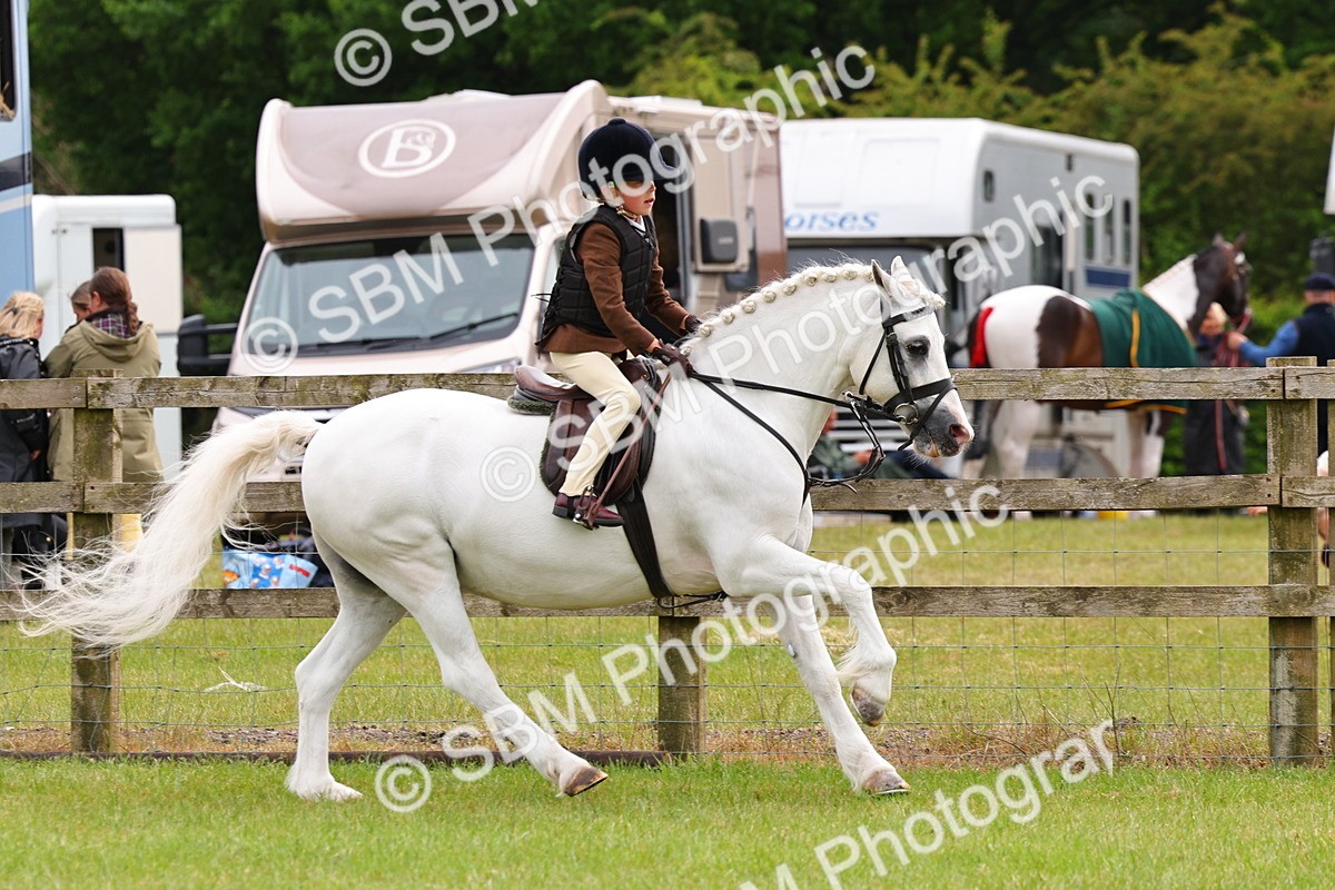SBM_09534 - Class 44-45 - LIHS BSPS Open Nursery and Cradle Stakes