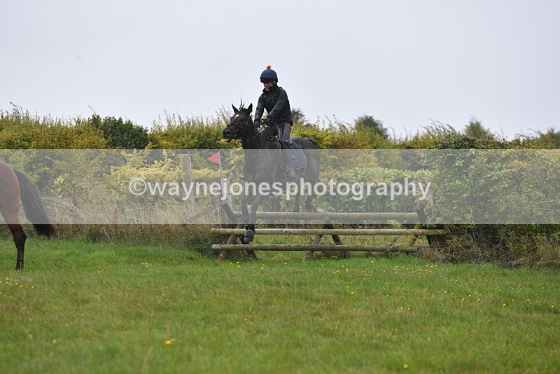 WJ5_6960 - Time 13:31 to 14:00