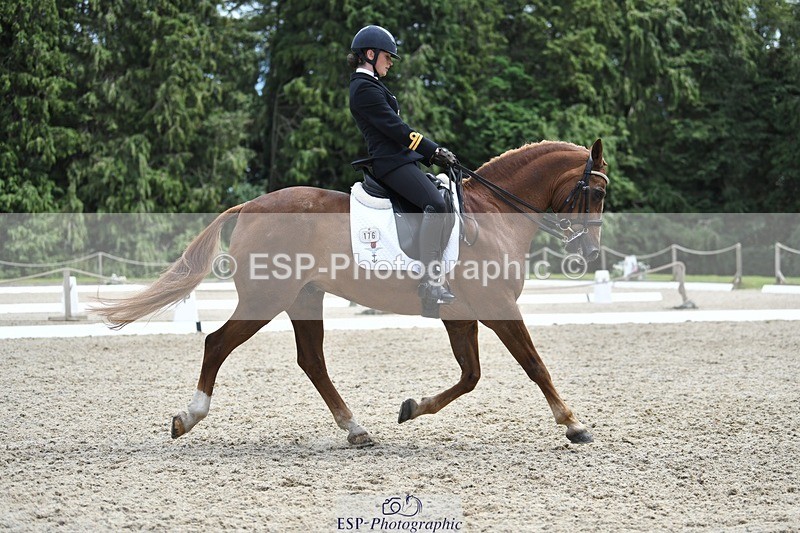 230812-141449-04649 - Cls 7 FEI PSG Bronze