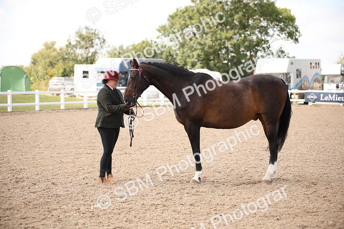 SBM_03785 - Class 19 Judge's Favourite