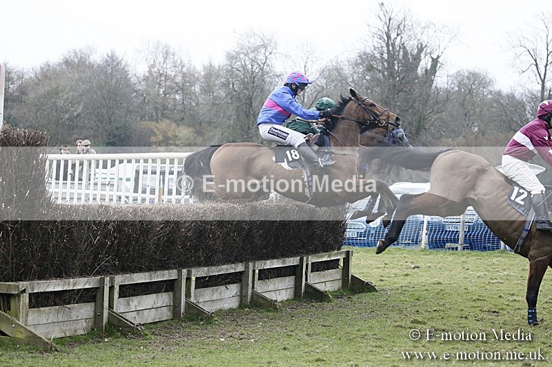 PtP 110318 544 - Hampshire Hunt Point-to-Point Hackwood Park 11/03/18