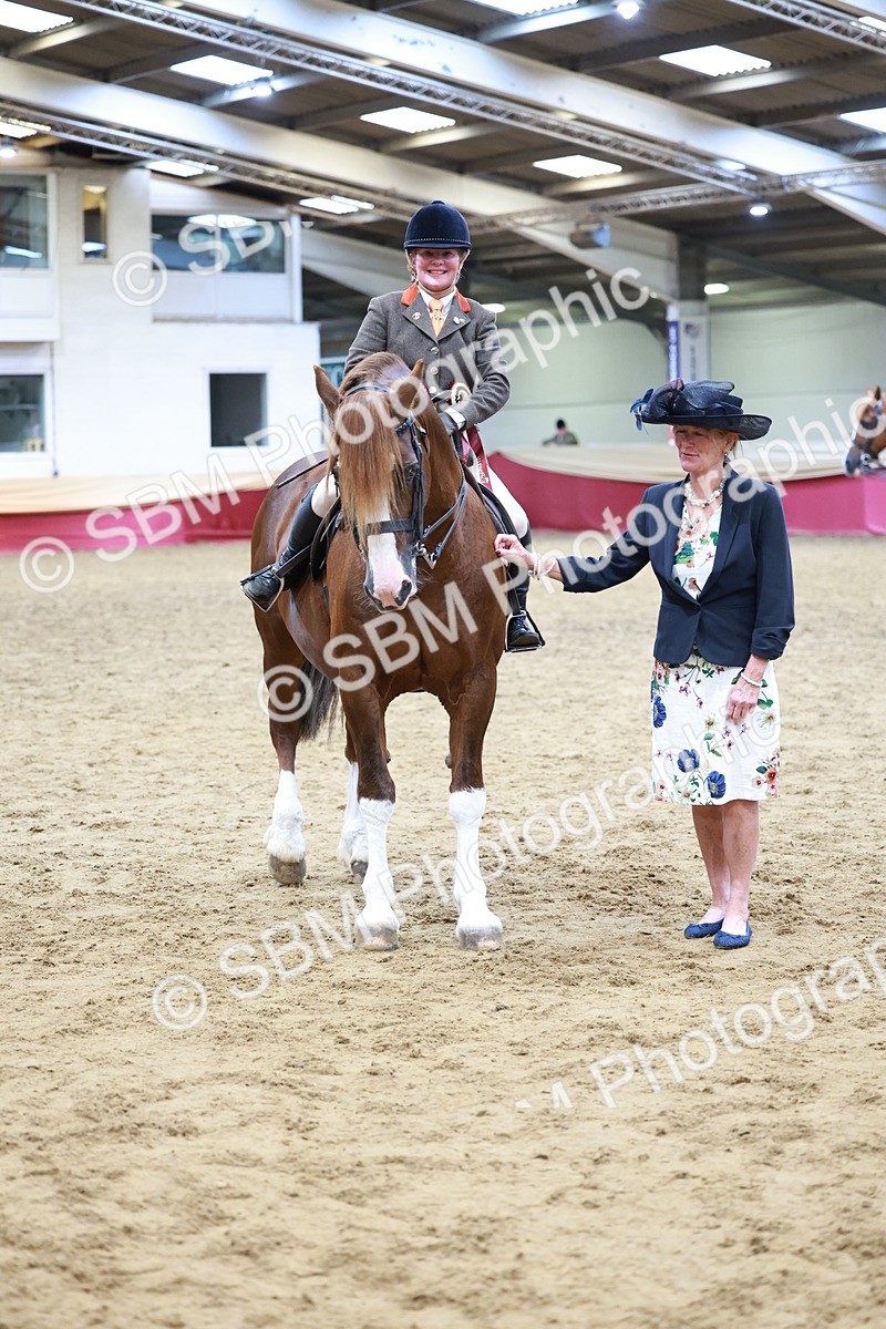 SBM_18900 - Class 952 - M&M Ridden Supreme Final