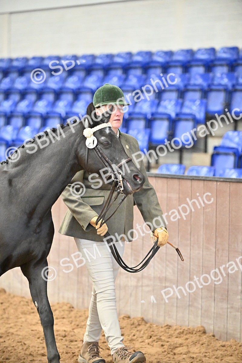 SBM_000647 - Class 11,12,13 - SSADL In Hand Seniors