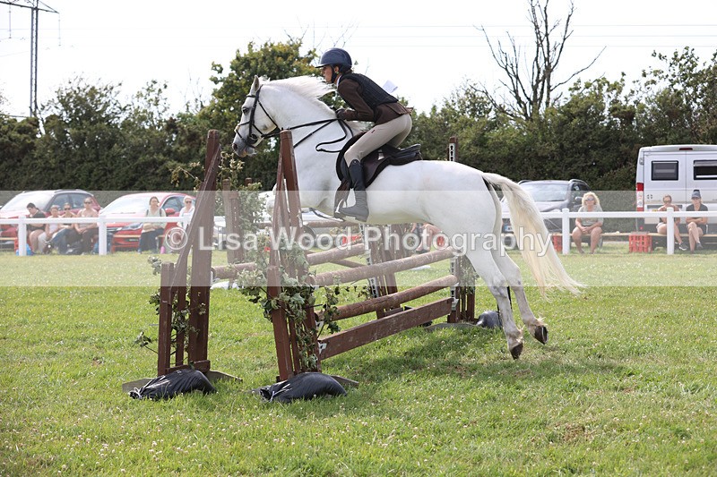 JPP_4011 - Class 24: Working Hunter 90cm