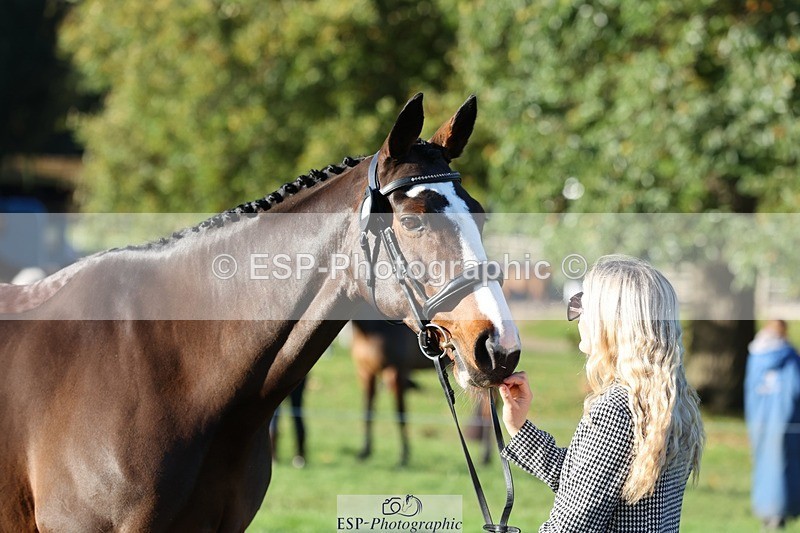 241027-091201-15107 - 351-Grace.Gillard-INDI