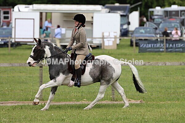 IMG_3236 - Working Hunter