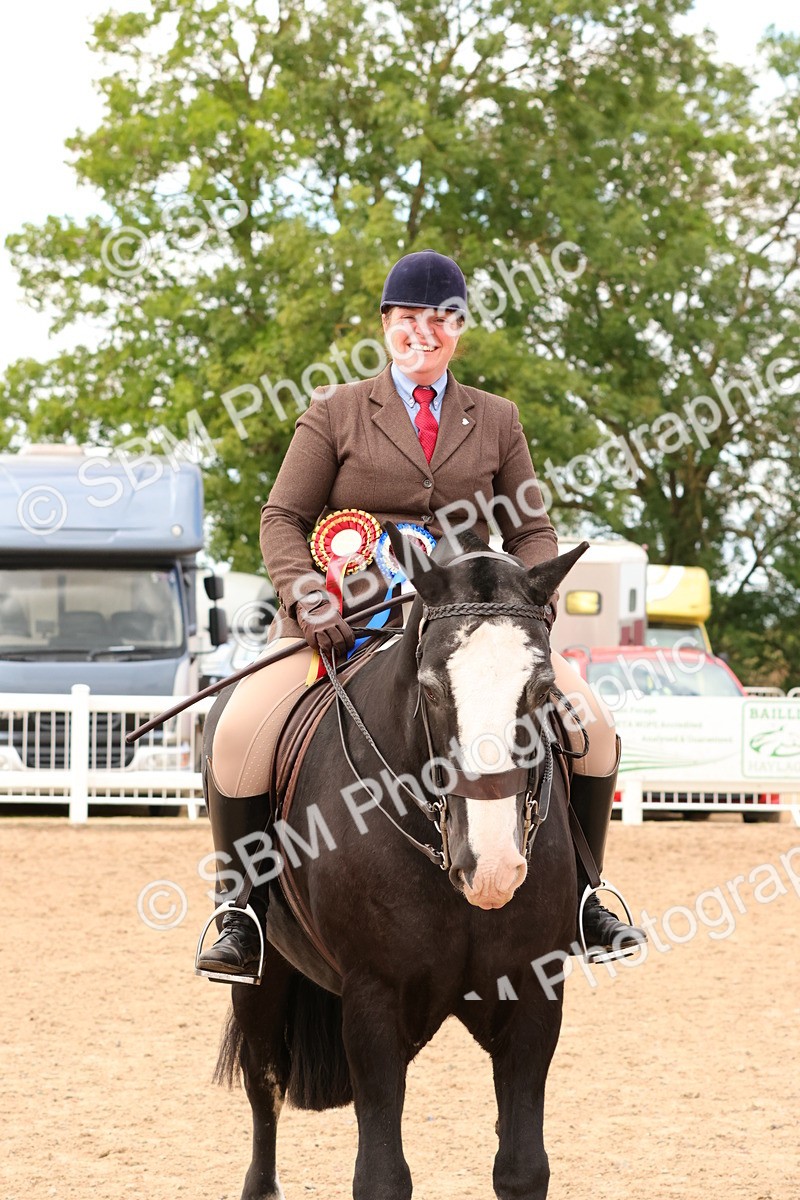SBM_15592 - Class 214 - Ridden Show Cob