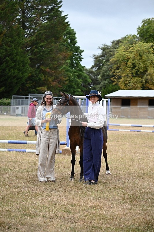 WJ6_8447 - Class 10 Coloured in Hand