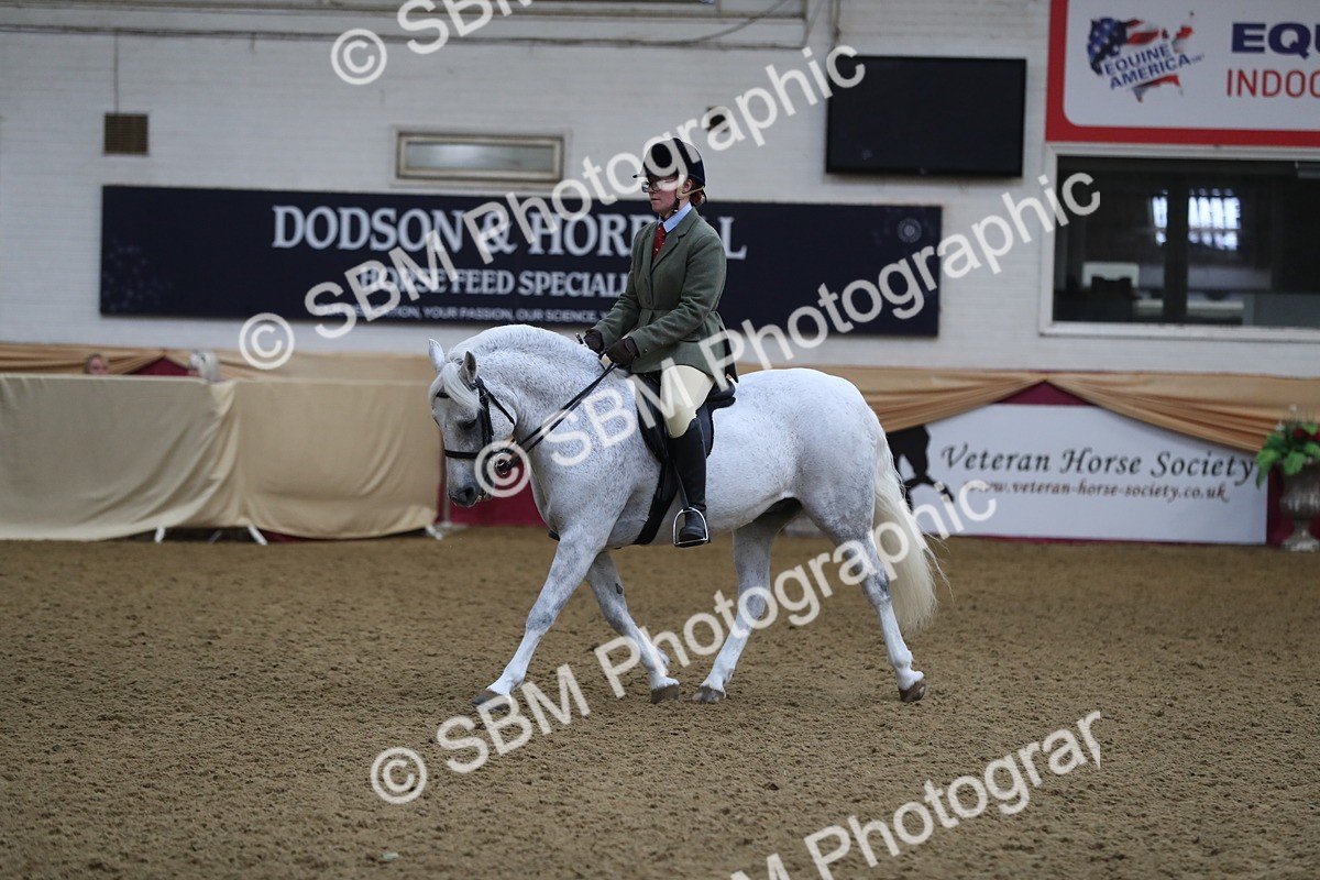 SBM_10419 - Class 102 Equitation (best rider) Adult
