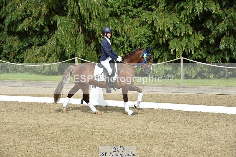 230812-160900-05417 - Novice Bronze Presentations