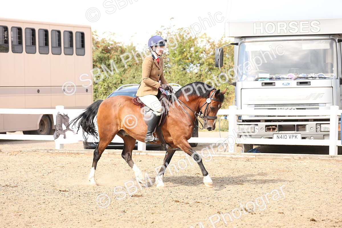 SBM_06825 - Class 58a -  Style & Performance - 70cm (15-19)