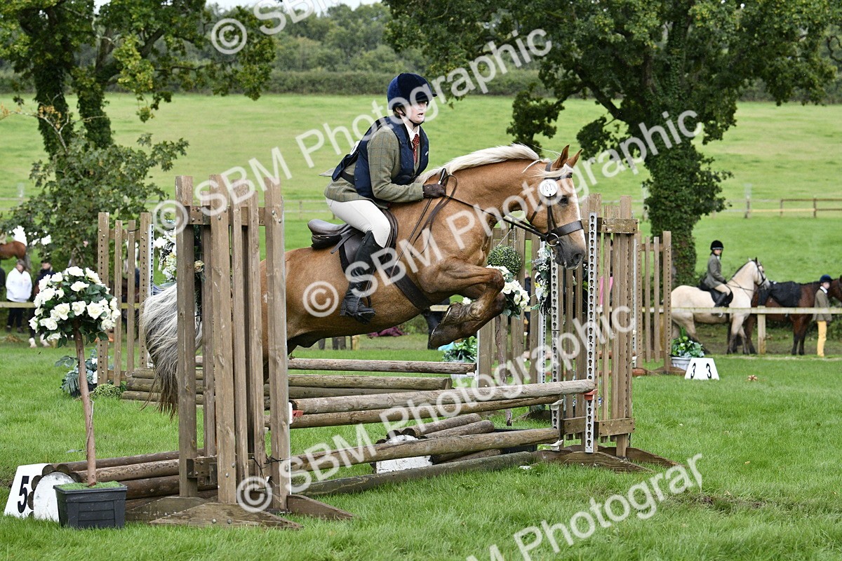 SBM_42237 - S32 - Mountain & Moorland Working Hunter Pony