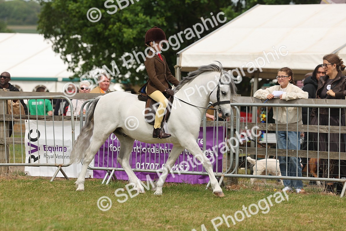 SBM_06863 - Class 74-75 - M&M Lead Rein and First Ridden Pony