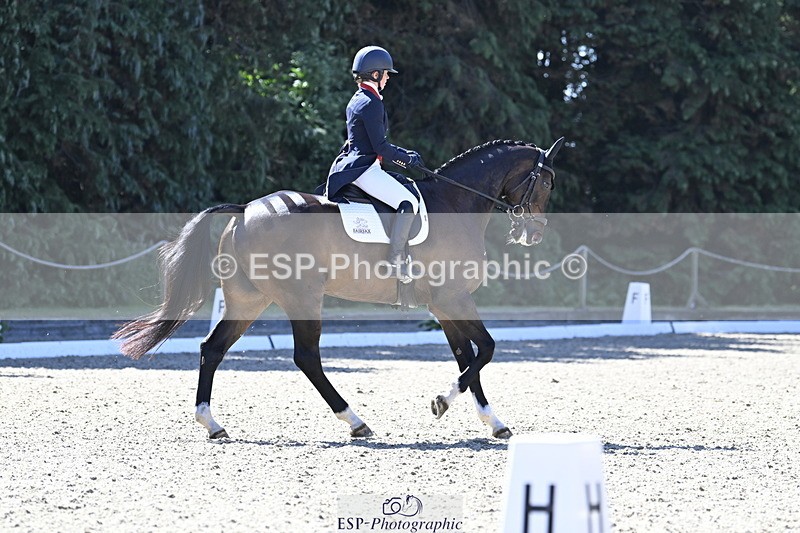 250522A-101251-02646 - B-310-Kitty.King-LISCARROW.FERNHILL