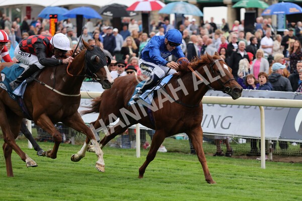 yr22072022r2-27 - Race 2 5.50pm eventmasters.co.uk Stakes