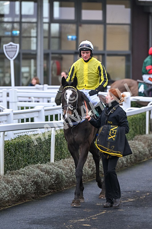 060324-Race 3-Sweet Fantasy-9553 - Race 3