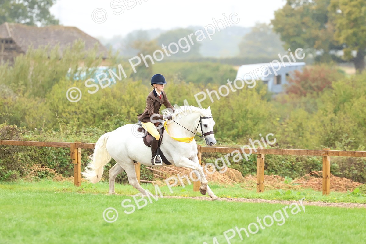 SBM_69766 - S62 - Mountain & Moorland Ridden Large Breeds