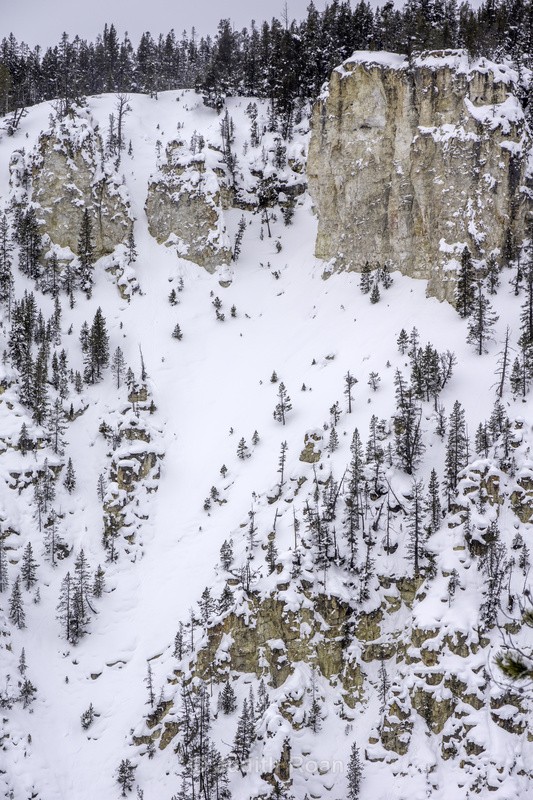 Yellowstone 2017 - Yellowstone