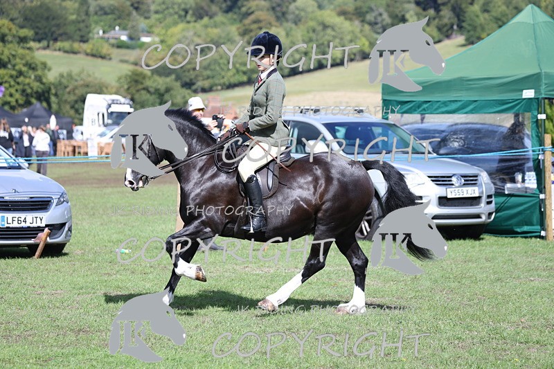 APP_3551 - Class 12 M&M ridden