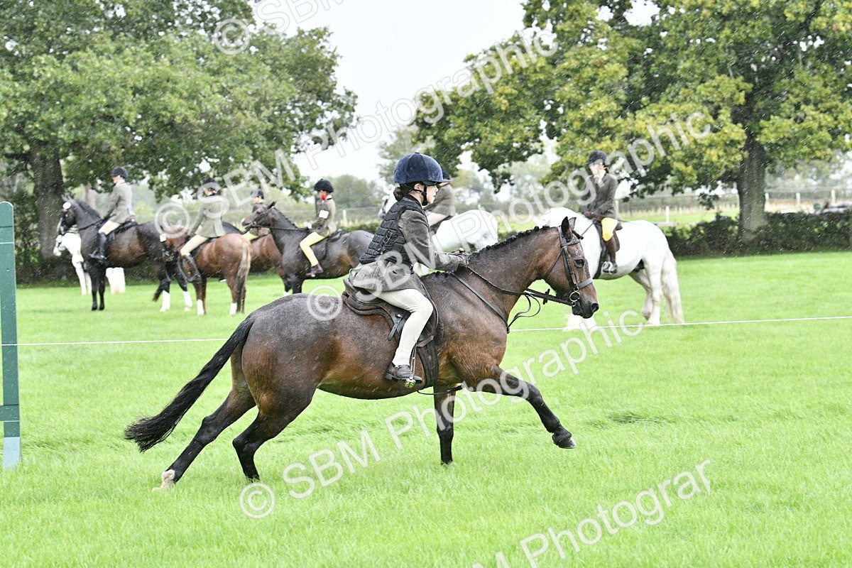 SBM_35530 - S30 - Nursery Stakes Working Hunter Pony