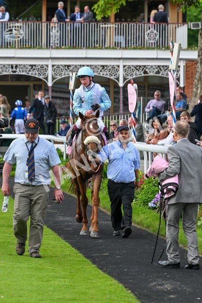 170524-Race 4-Giavellotto-8180 - Race 4 3.45pm Boodles Yorkshire Cup Stakes