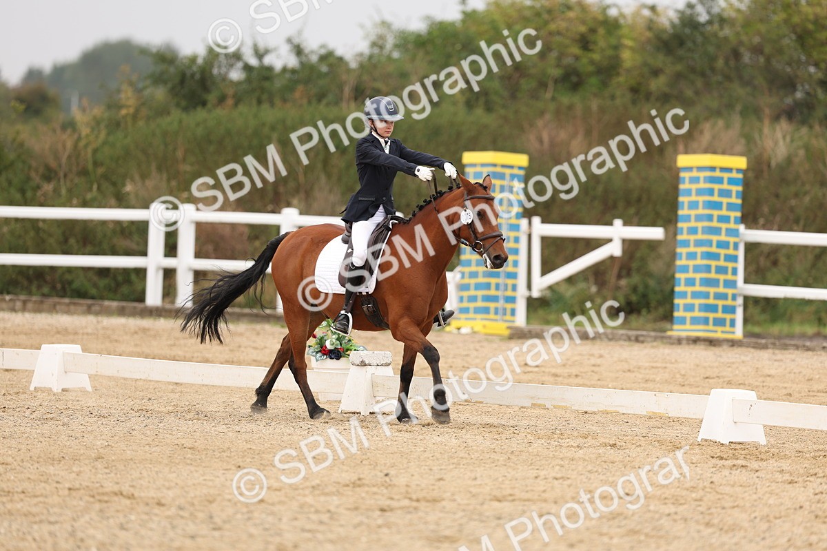 SBM_01517 - Class 9 - Novice 27 Champs