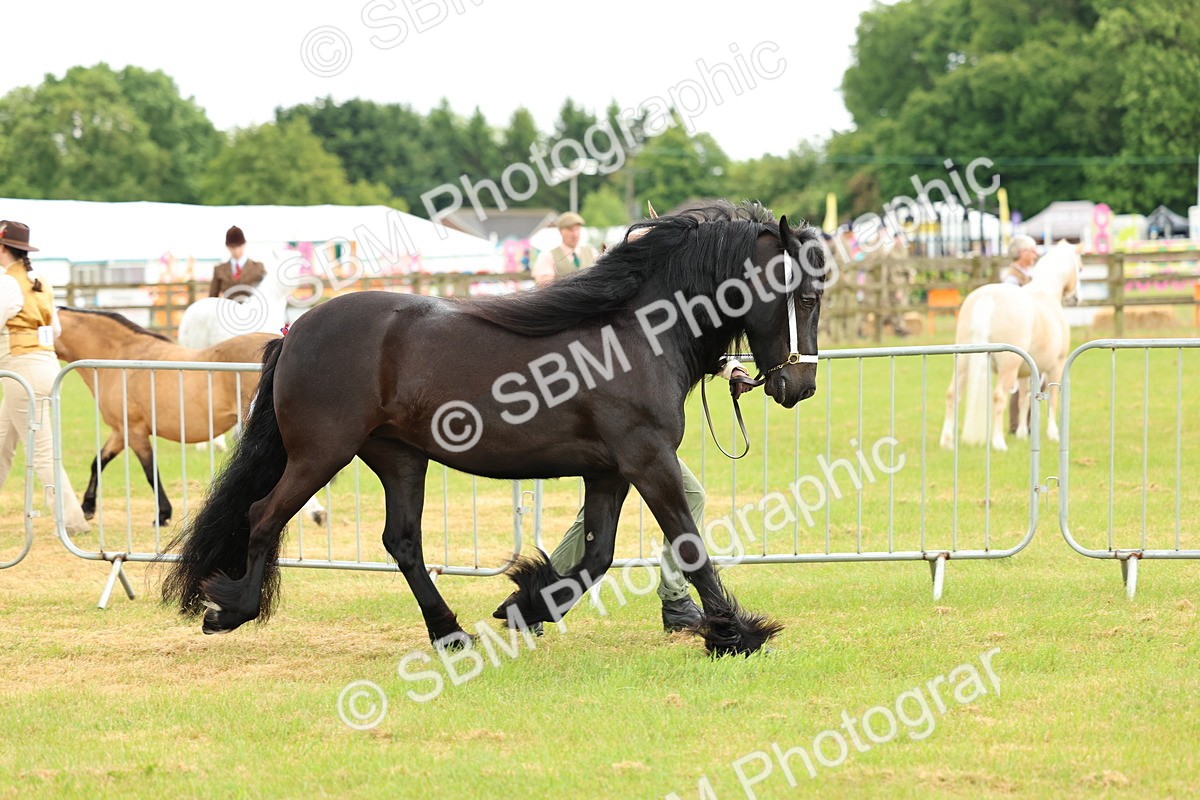 SBM_00474 - Class 58-67 - M&M Non Welsh Pony In hand