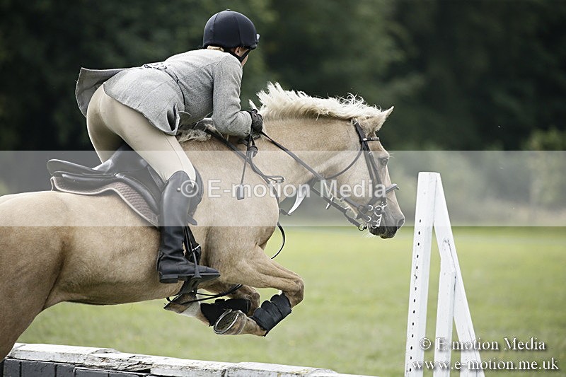 BVR090918 585 - BVRC Dressage and Show Jumping 09/09/18