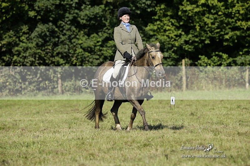 BVRC 120921 153 - Bourne Valley Riding Club UA Dressage & Show Jumping 12/09/21