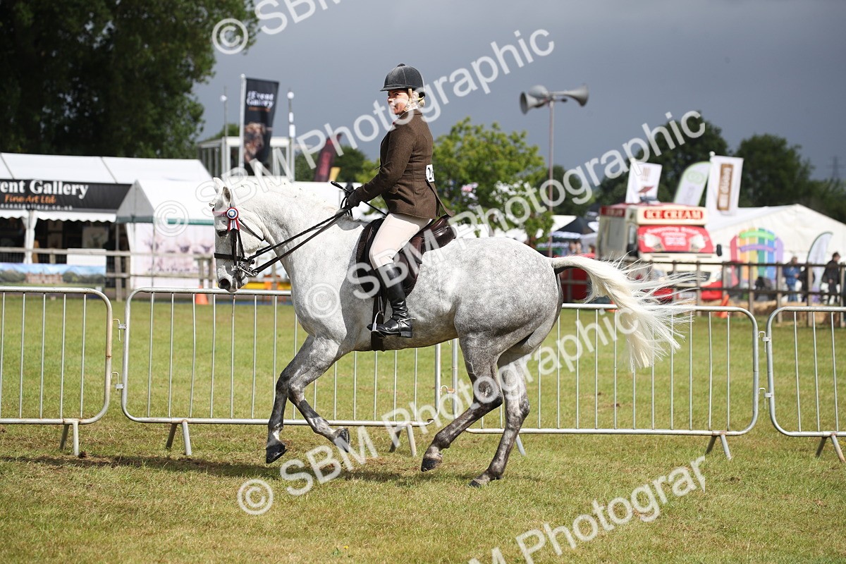 SBM_11524 - Class 95-96 - LIHS BSHA Rising Star Hack Riding Horse