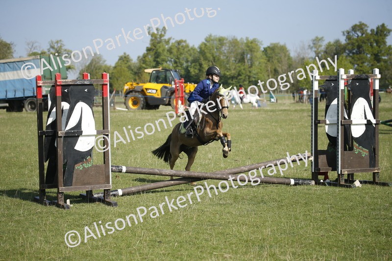 20250427-0356 - Class 12 - Rookie Jumping 40cm