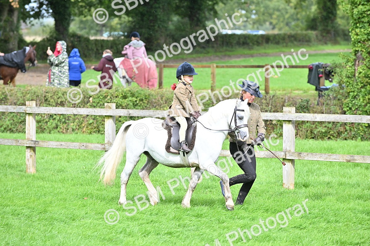 SBM_40133 - S20 - Lead Rein Mountain & Moorland Pony