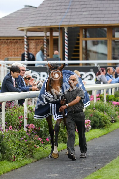 yr19082022r4-114 - Race 4 3.35pm Coolmore Wootton Bassett Nunthorpe Stakes (British Champion Series Race)