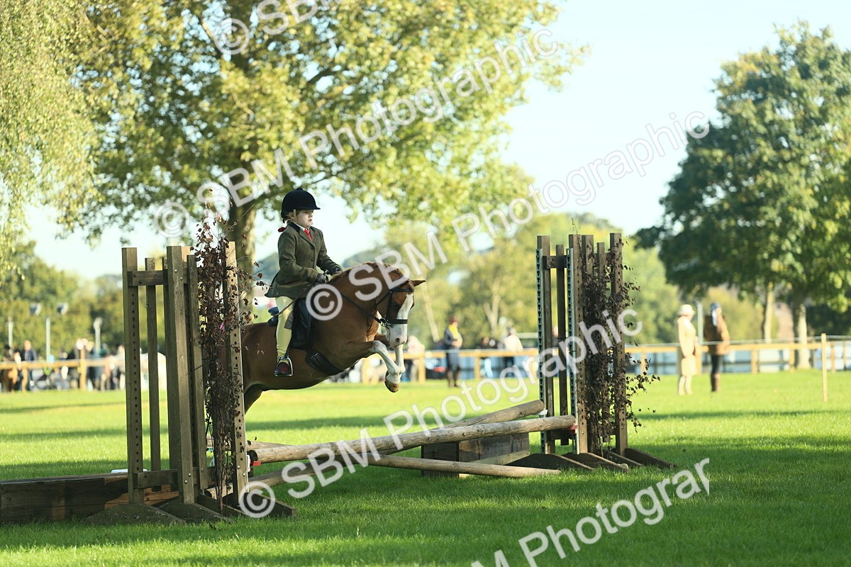 SBM_36330 - S29 - Novice & Newcomers Working Hunter Pony