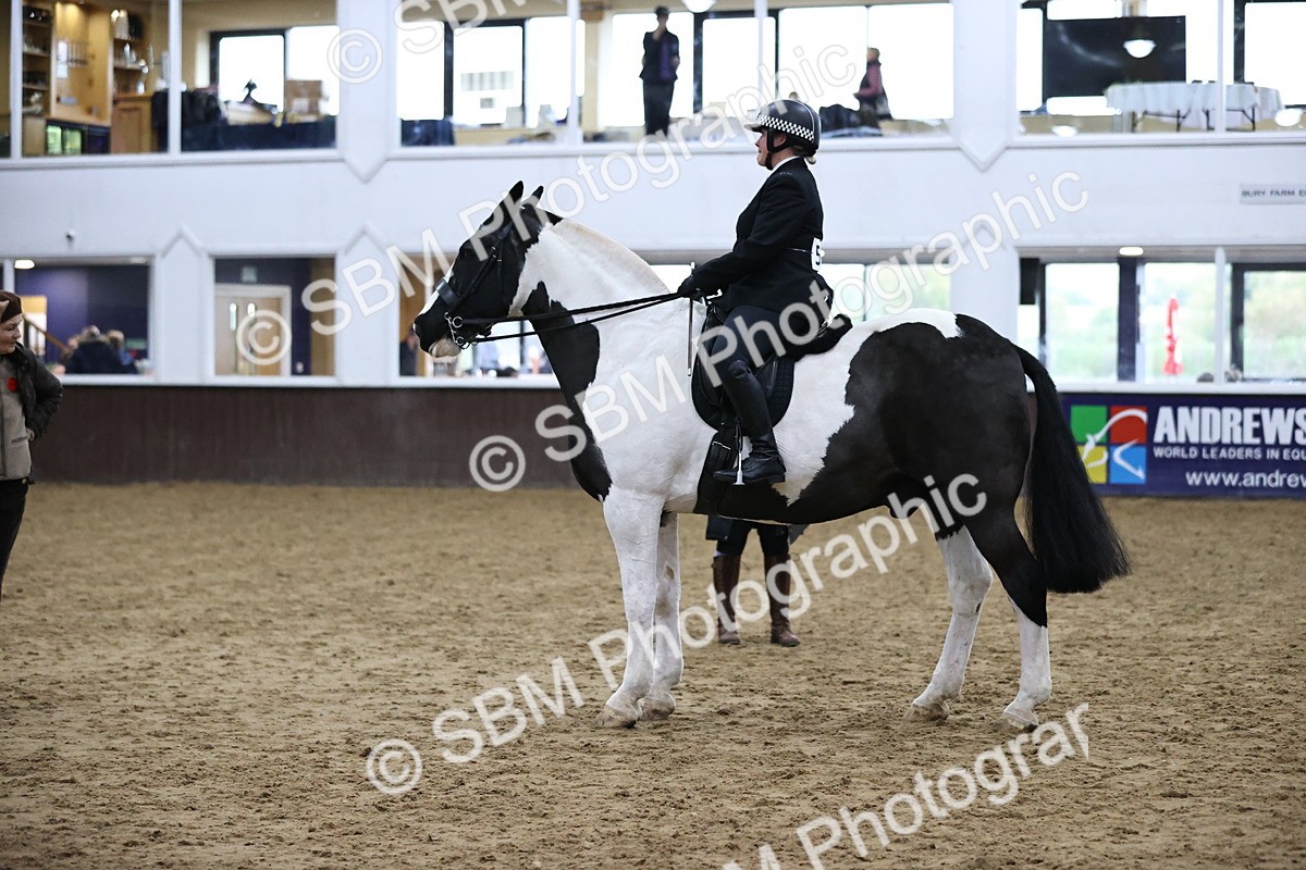 SBM_6361 - Class 45-42 - Ridden Irish Breeds-Ridden Cob