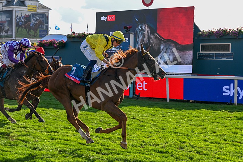 220826-Race 7-Raammee-1891 - Race 7 17.20pm Sky Bet Dav Reid Finale Handicap