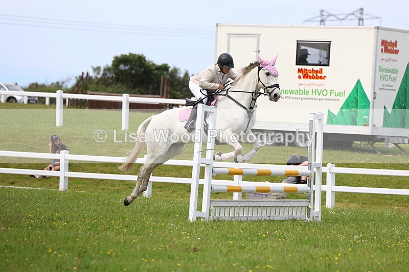 3E7A1676 - Class 13: Senior British Novice/90cm open
