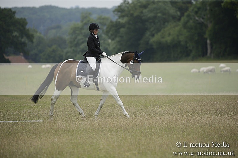 B230619-0646 - Bourne Valley Riding Club Summer Show 23/06/19