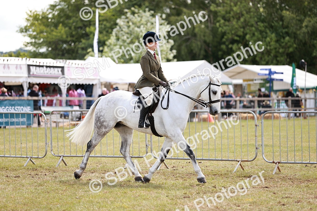 SBM_14507 - Class 88-89 - LIHS BSHA Rising Star of Ridden Hunter Type