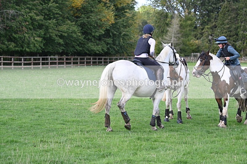 WJ7_8314 - Time 12:12 to 12:37