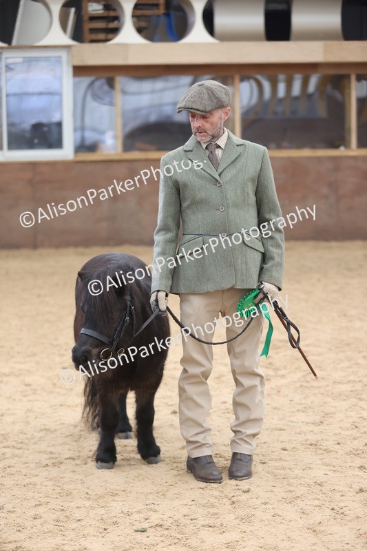 20251109-0357 - Class 13 - Mares 4 Years and Over