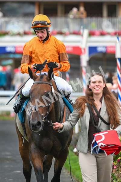 080925-Race 7-Canvas-7925 - Race 7 5.30pm Sky Bet, For The Fans Mile Apprentice Handicap